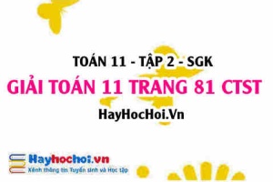 Giải Toán 11 trang 81 tập 2 Chân trời sáng tạo